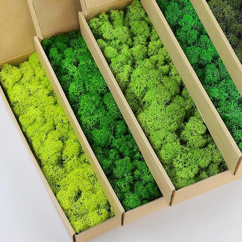 Terrarium Moss Art - 20-200 جرام نباتات خضراء اصطناعية عشب