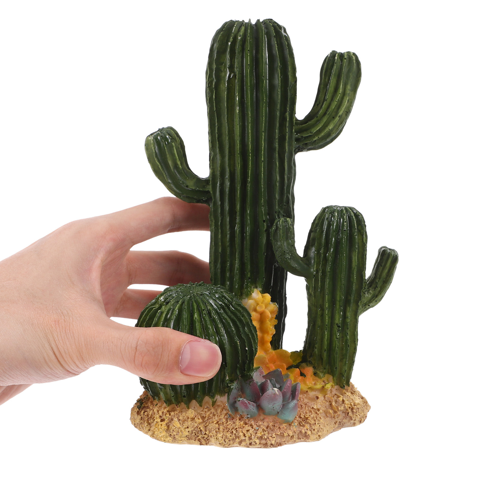 نبات صبار صناعي كبير، ديكور صح - مراجعة Terrarium Moss Art وسعره