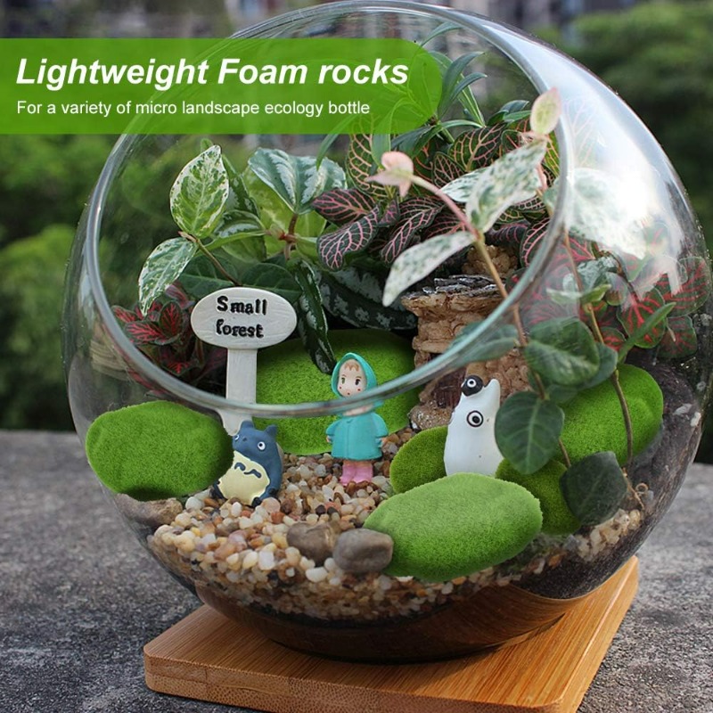 50/5 قطع من أحجار الطحلب الاصط - مراجعة Terrarium Moss Art وسعره