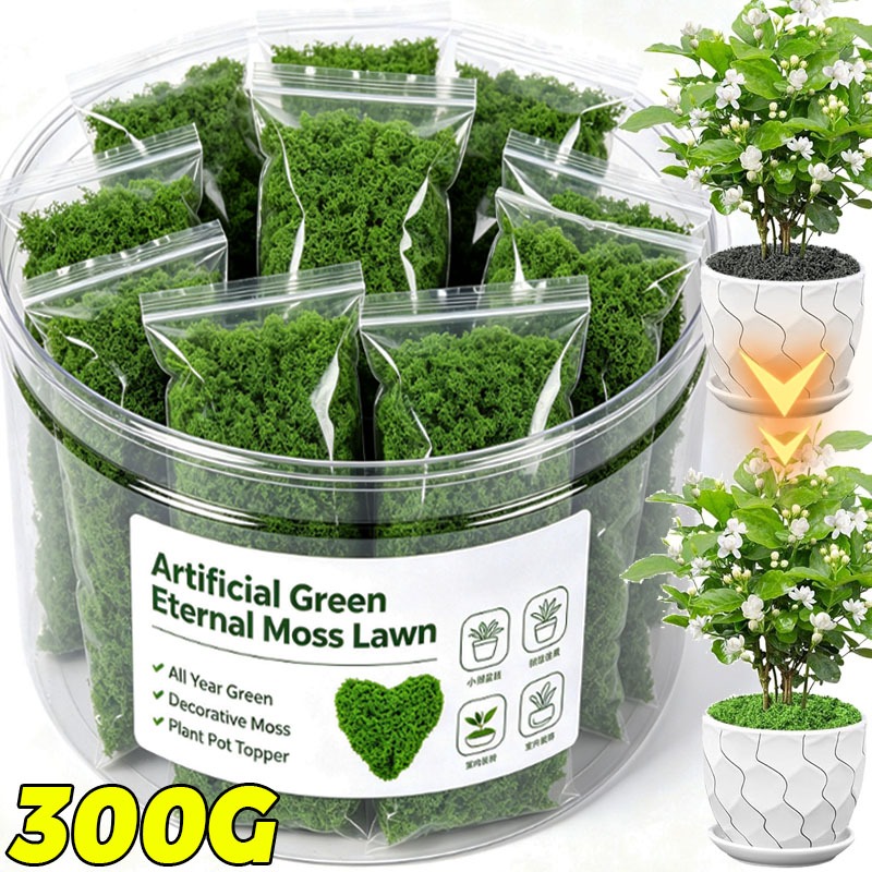 نباتات خضراء اصطناعية، طحالب ا - مراجعة Terrarium Moss Art وسعره