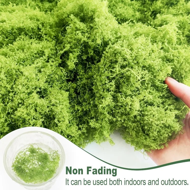 نباتات خضراء اصطناعية، طحالب ا - مراجعة Terrarium Moss Art وسعره