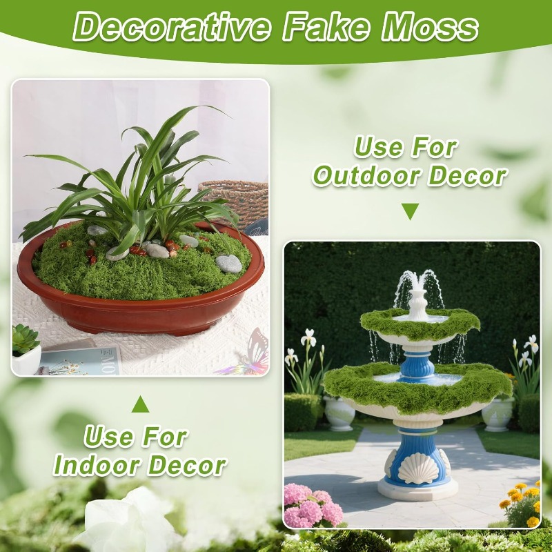 نباتات خضراء اصطناعية، طحالب ا - مراجعة Terrarium Moss Art وسعره